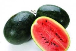 吃瓜51在线黑料9 吃瓜黑料精品一区,吃瓜51在线黑料9，一区精品内容深度解析