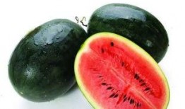 吃瓜51在线黑料9 吃瓜黑料精品一区,吃瓜51在线黑料9，一区精品内容深度解析