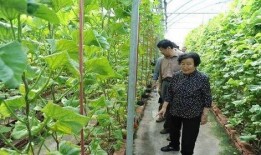 瓜瓜吃瓜ppt 明星价格表,揭秘明星价格背后的秘密